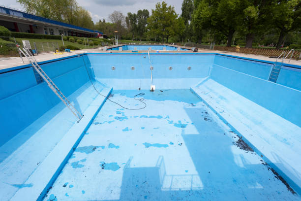 Best Water damage restoration mold remediation  in Bovina, TX