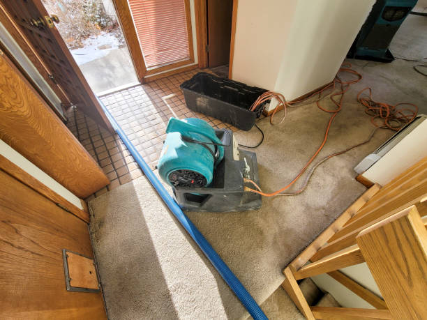 Best Water damage restoration near me  in Bovina, TX