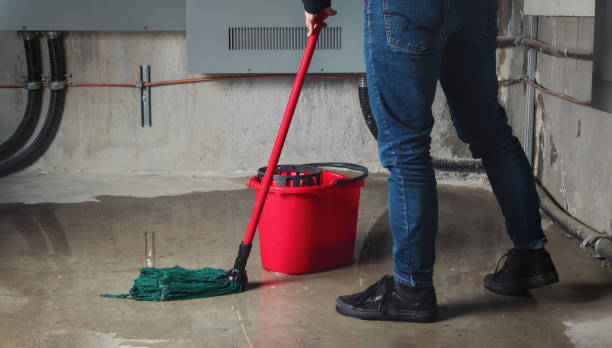 Best Flood damage cleanup  in Bovina, TX