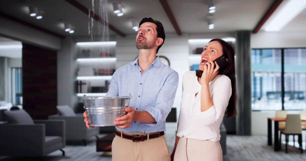 Best Carpet water damage restoration  in Bovina, TX