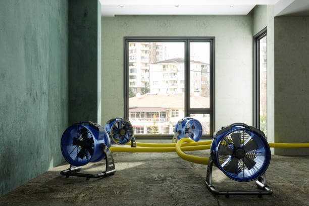 Professional Water damage restoration in Bovina, TX